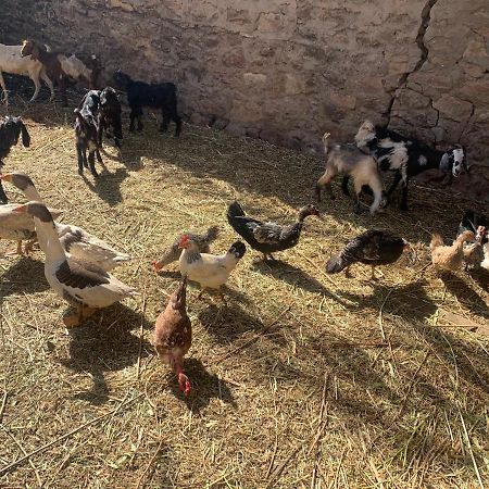 Nubian Farm Aswan Βίλα Εξωτερικό φωτογραφία