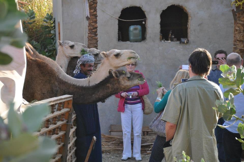 Nubian Farm Aswan Βίλα Εξωτερικό φωτογραφία