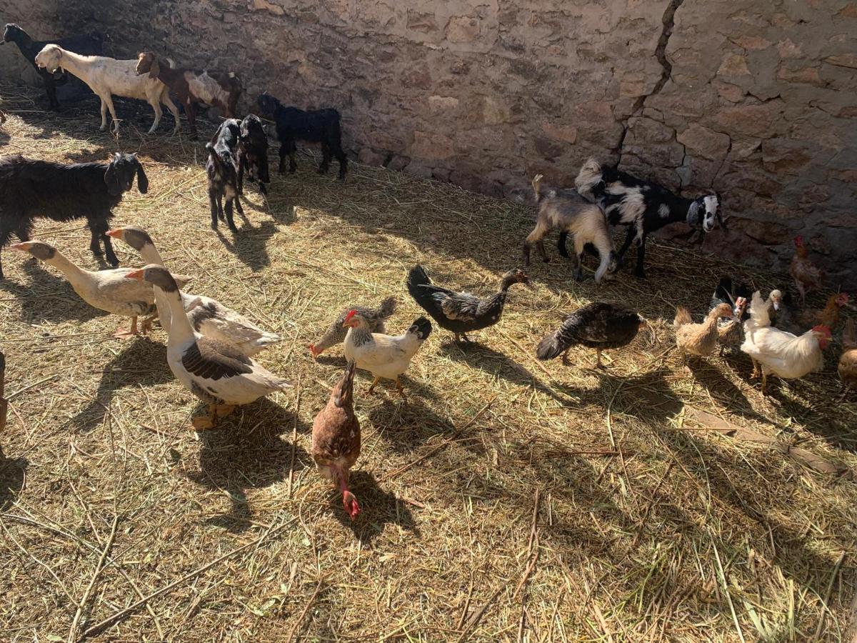 Nubian Farm Aswan Βίλα Εξωτερικό φωτογραφία