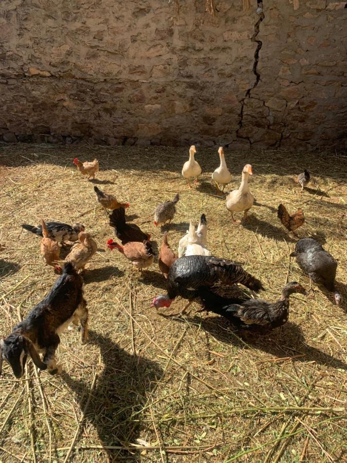 Nubian Farm Aswan Βίλα Εξωτερικό φωτογραφία
