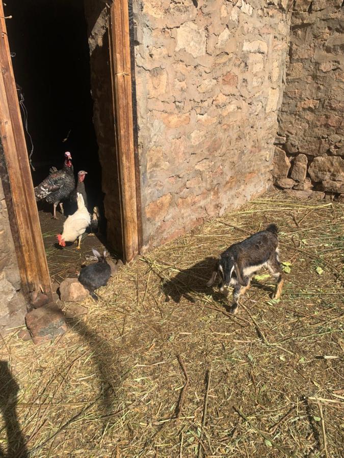 Nubian Farm Aswan Βίλα Εξωτερικό φωτογραφία